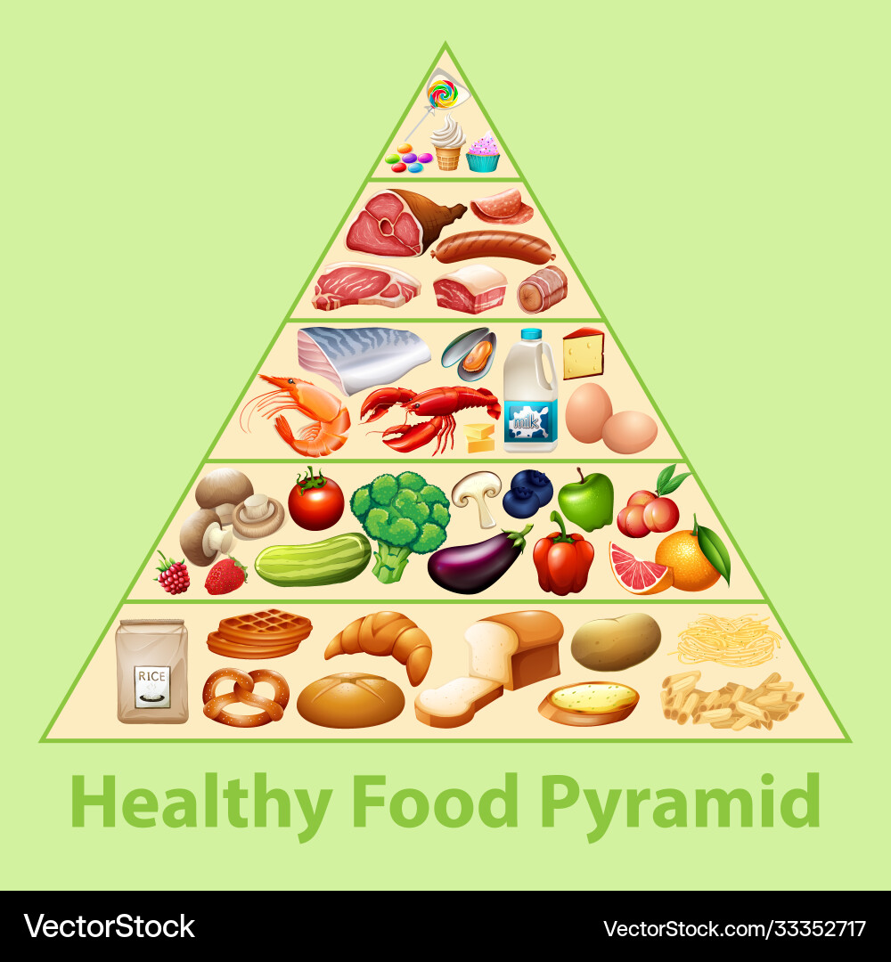 Healthy food pyramid chart Healthy food pyramid chart vector image
