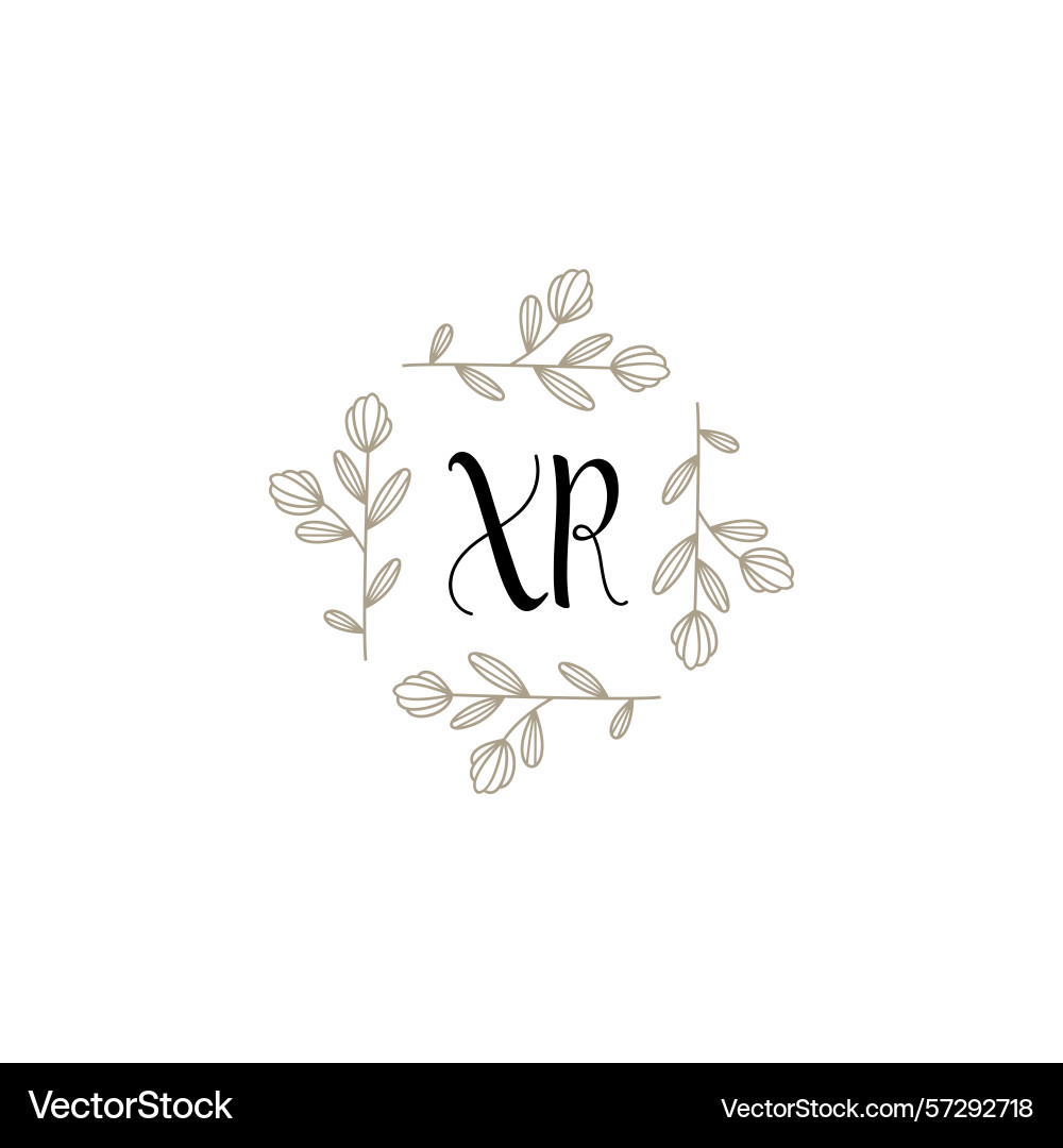 Botanical monogram logos with initial xr Botanical monogram logos with initial xr Vector Image