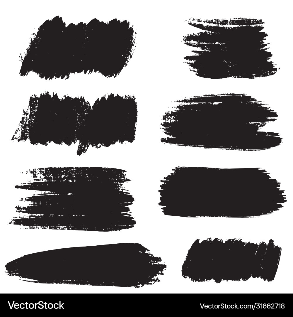 Brush Stroke Collection vector image