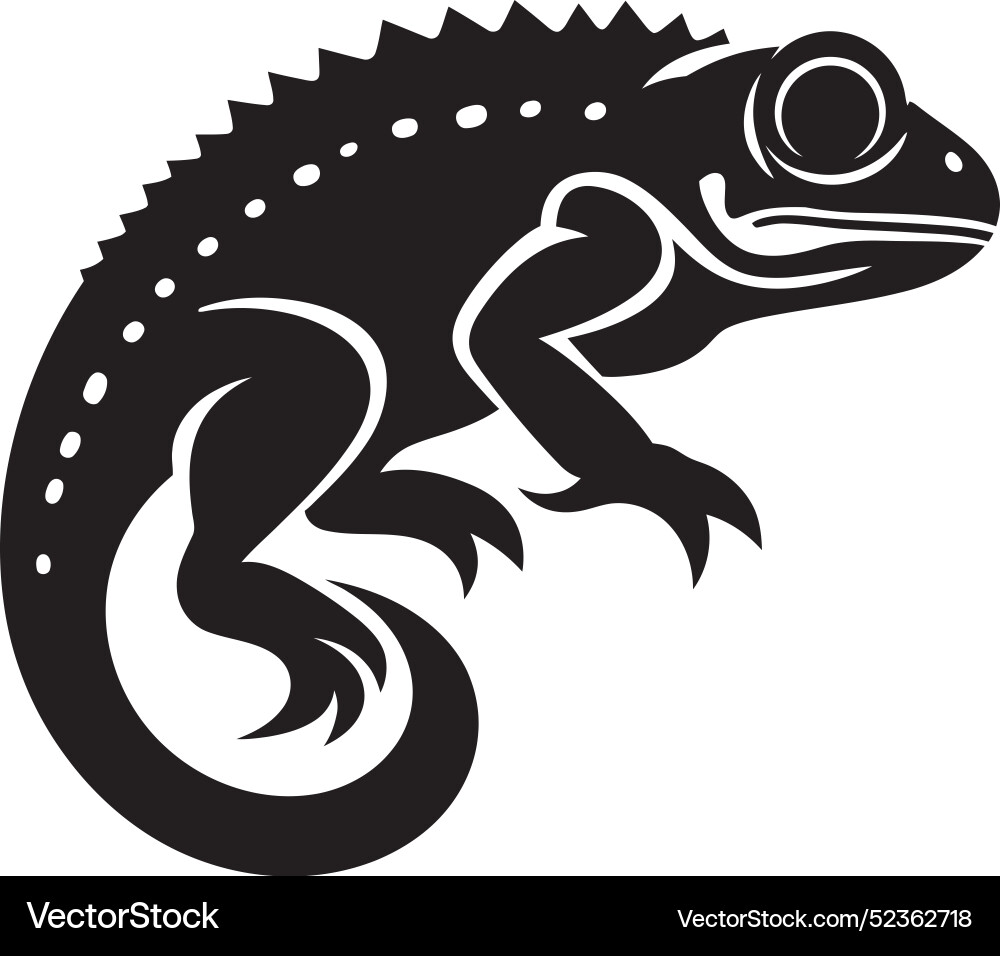 Chameleon transformationschameleons dynamic co Vector Image