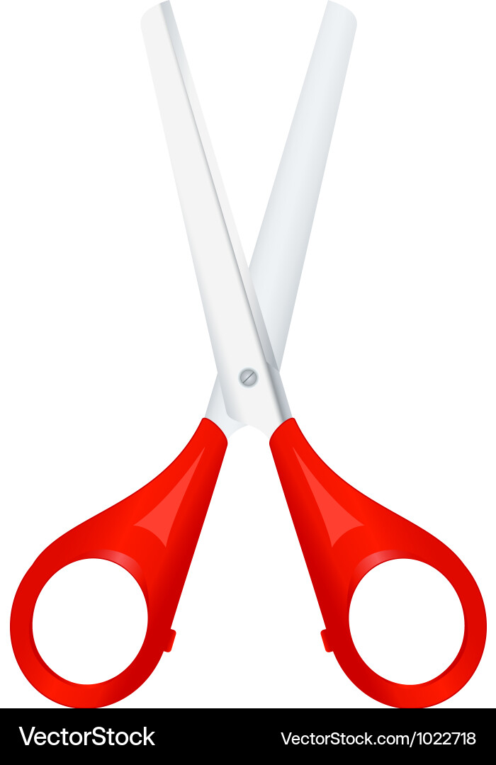 Scissors2 vector image