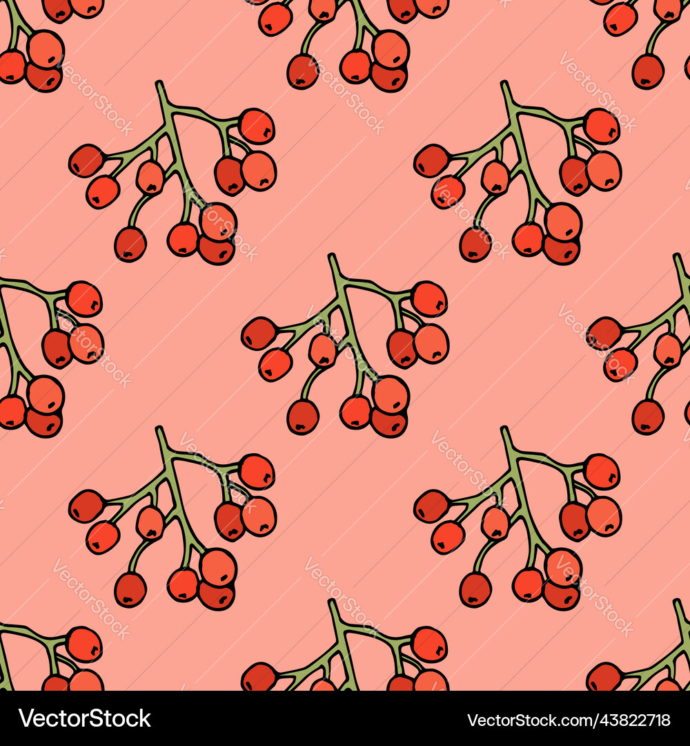 Seamless pattern of simple rowan berries on warm Seamless pattern of simple rowan berries on warm Vector Image