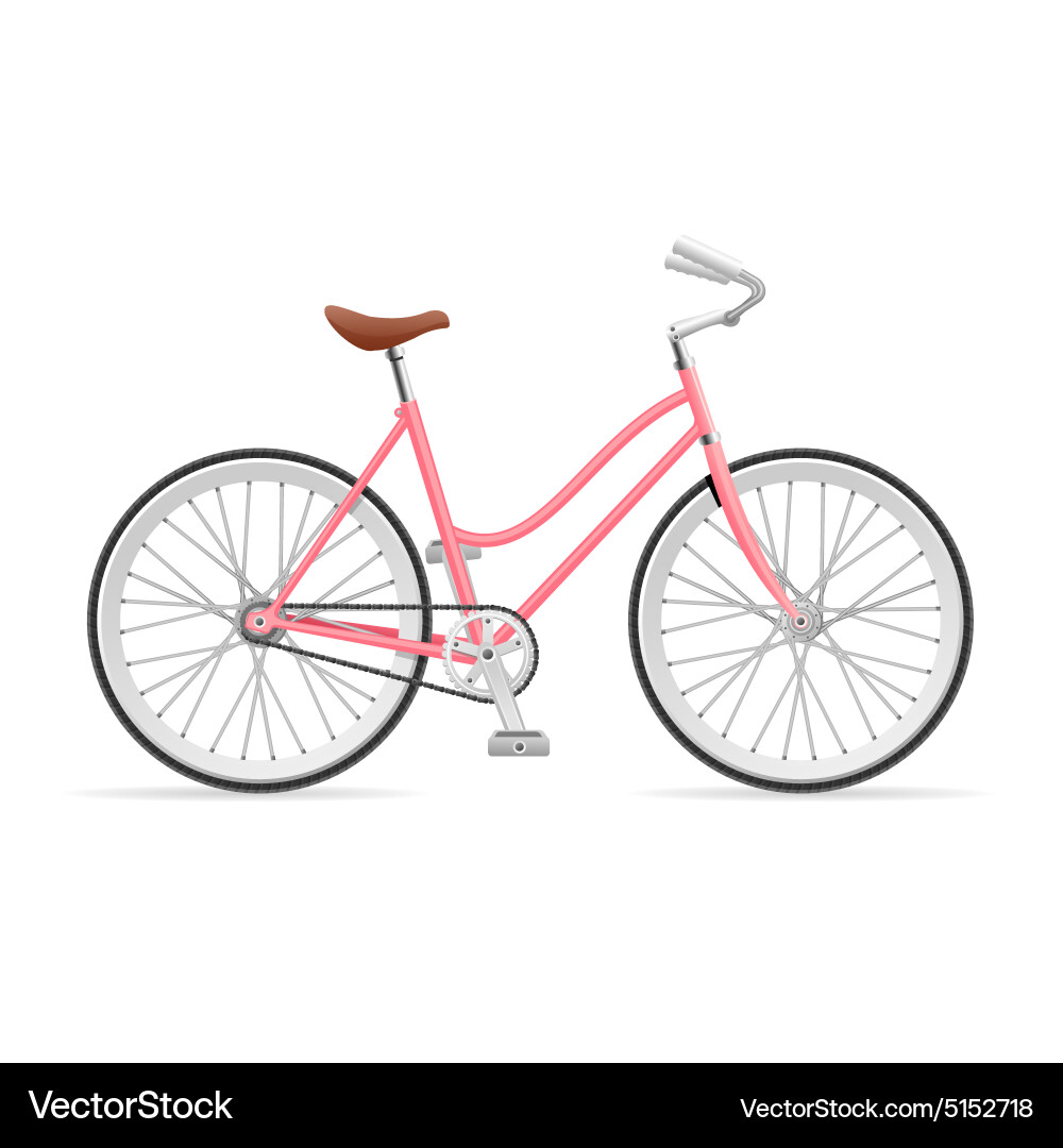 Stylish Rose Bicycle vector image