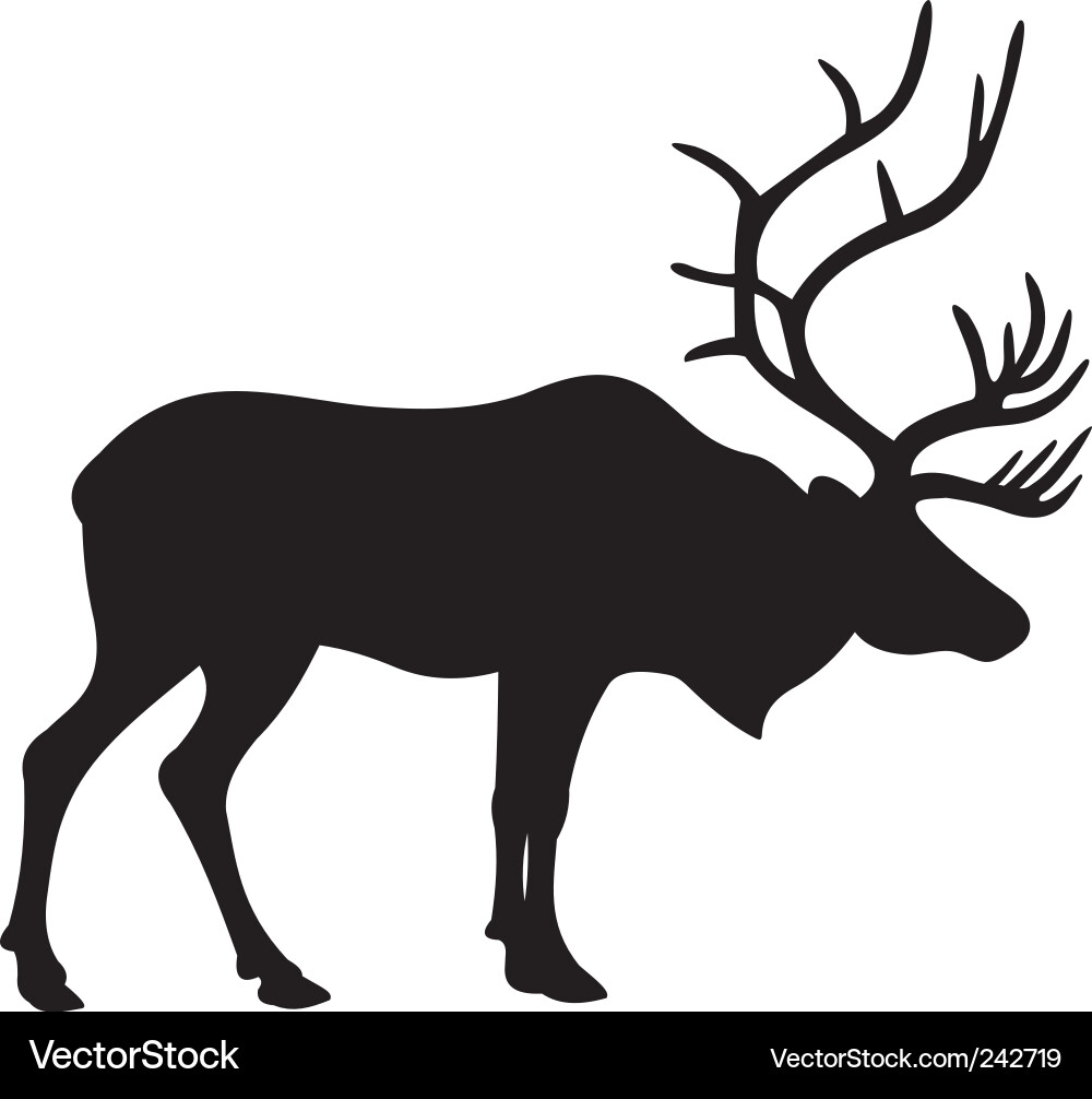 Deer Silhouette vector image