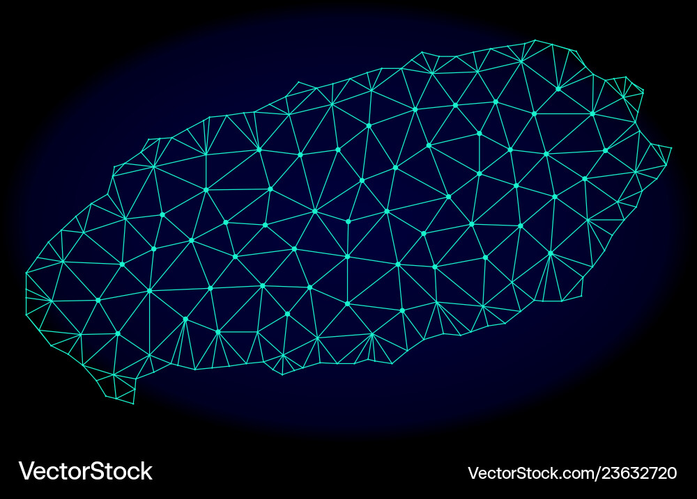 Polygonal wire frame mesh abstract map Polygonal wire frame mesh abstract map vector image