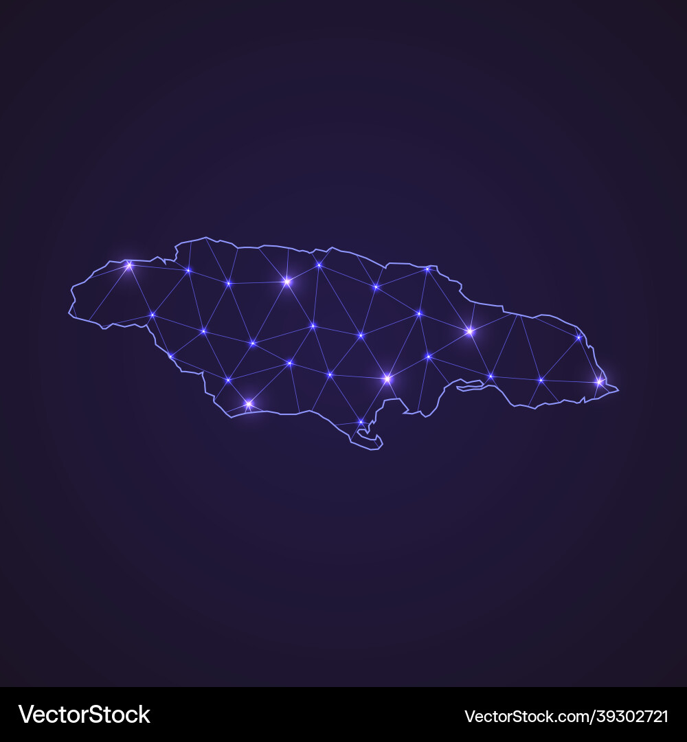 Abstract Digital Network Map vector image