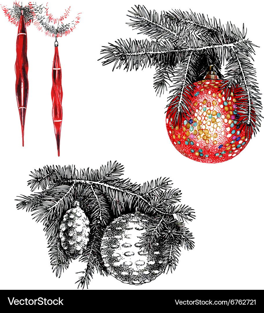 Christmas Fir Branches Royalty Free Vector Image