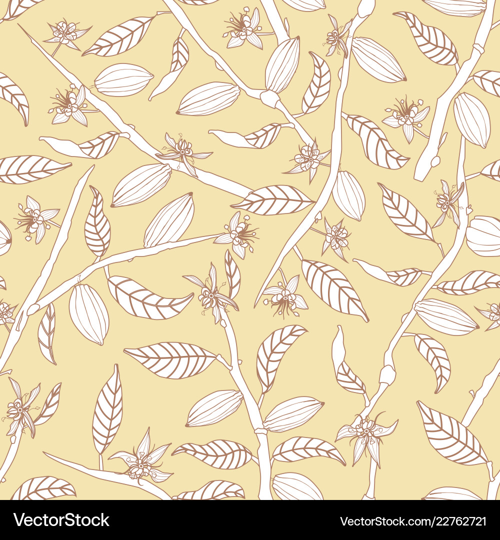 Cocoa Flower & Pod Pattern vector image