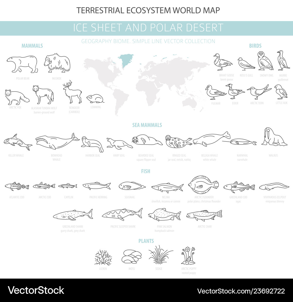 Arctic Biome: Ice Sheet & Desert Vector Image