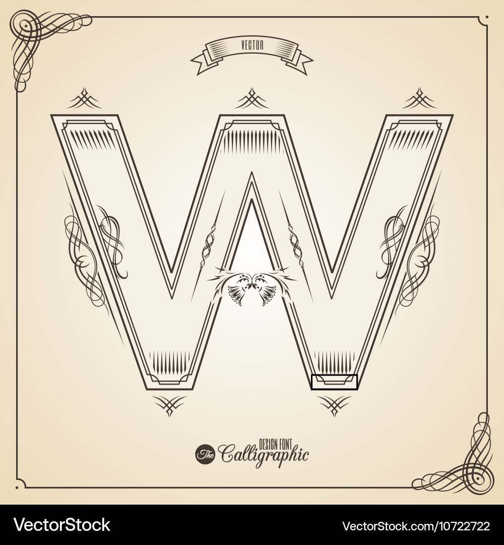 Calligraphic fotn with border frame elements Vector Image