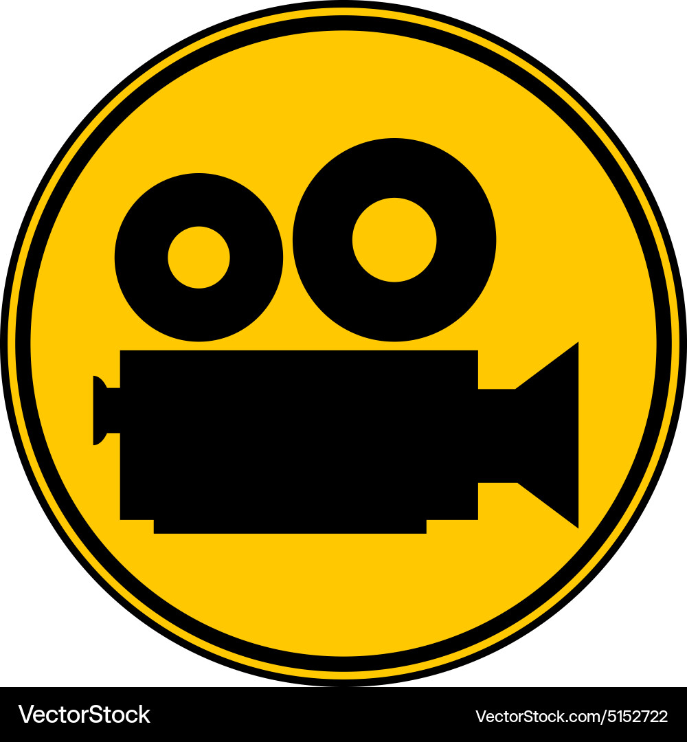 Camera symbol button Vector Image