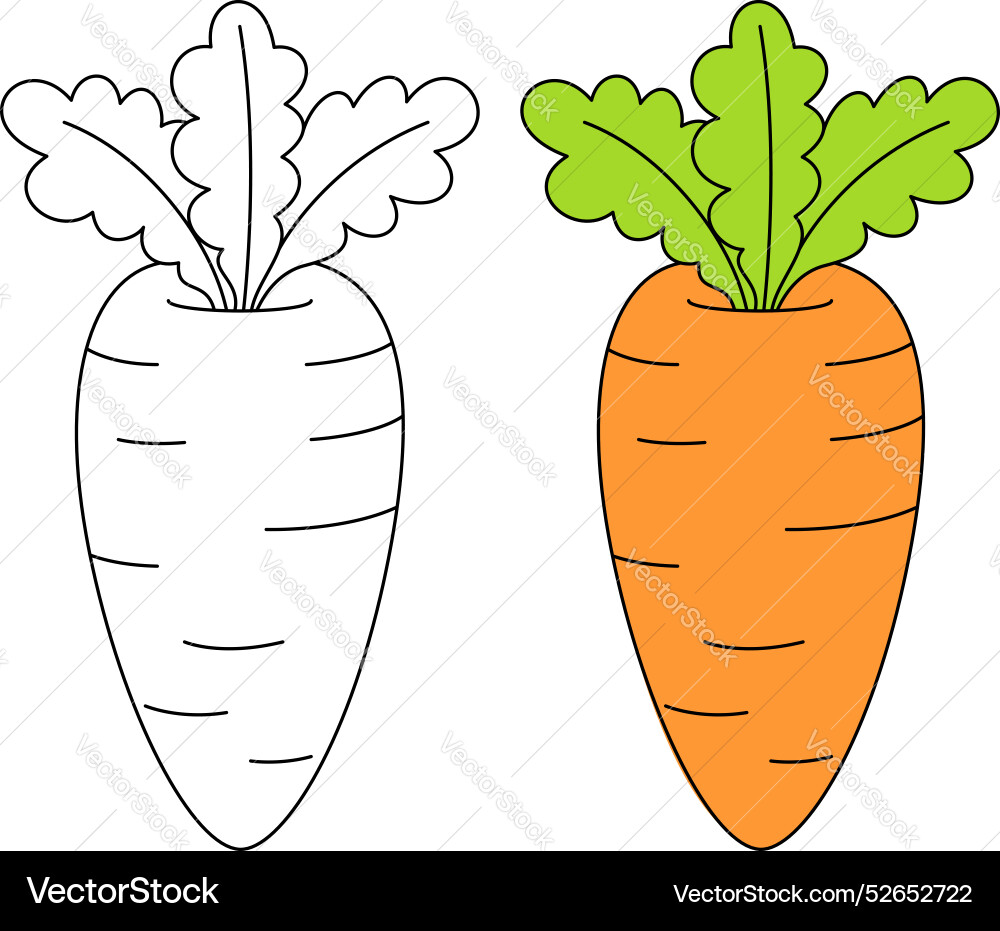 carrot coloring page