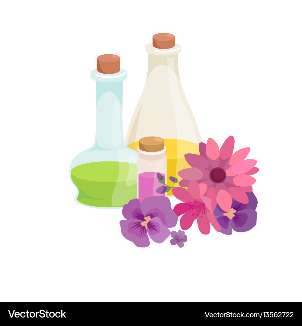 Set of natural organic hand made soap with olives Set of natural organic hand made soap with olives vector image
