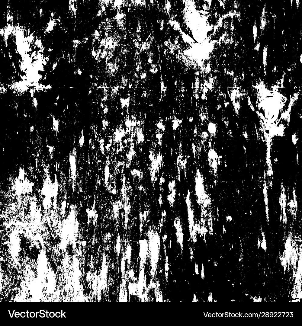 Distress overlay texture Distress overlay texture vector image