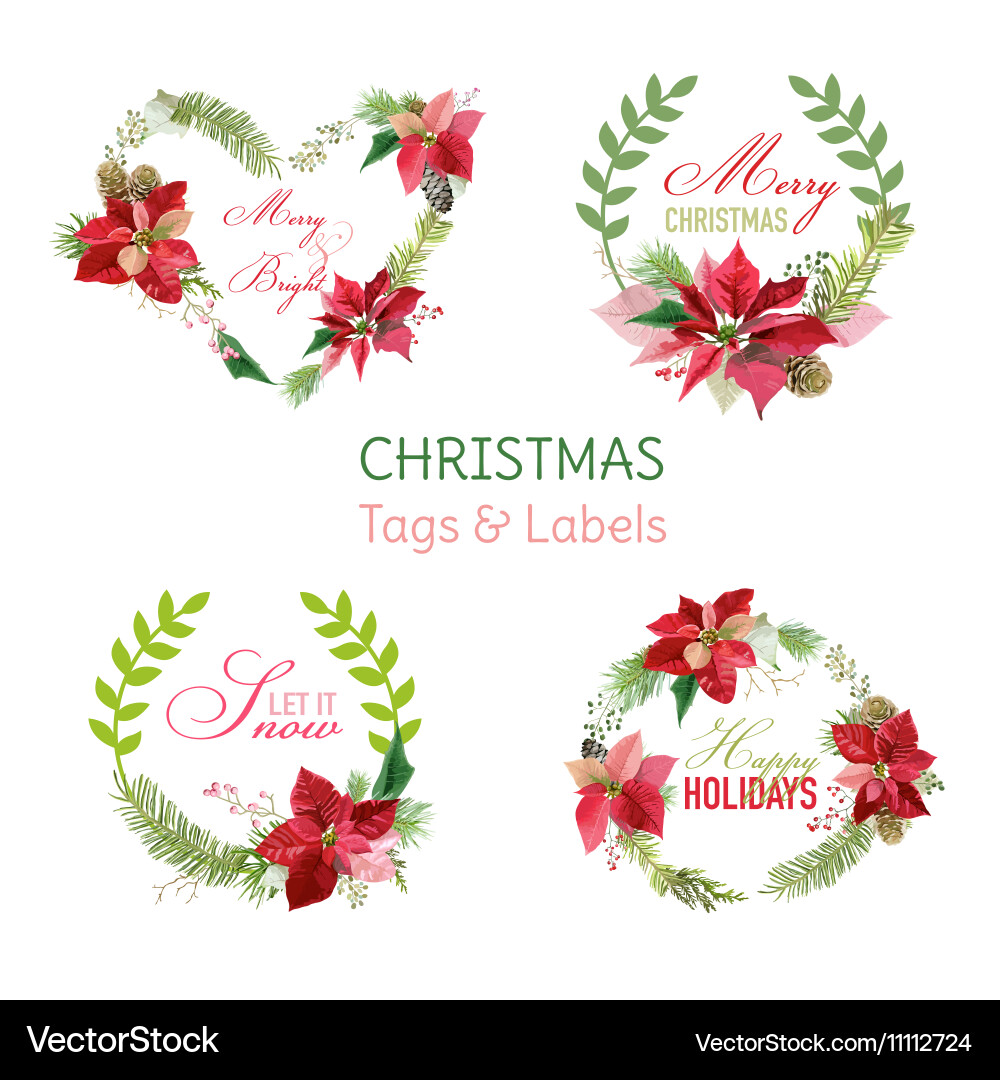 Christmas Poinsettia Festive Tags & Banners vector image