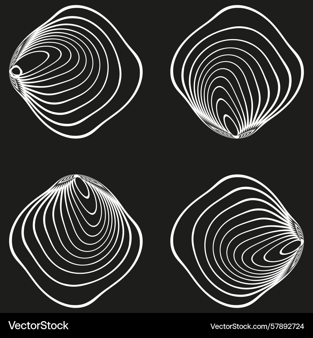 Concentric line forms abstract shell shapes Concentric line forms abstract shell shapes Vector Image