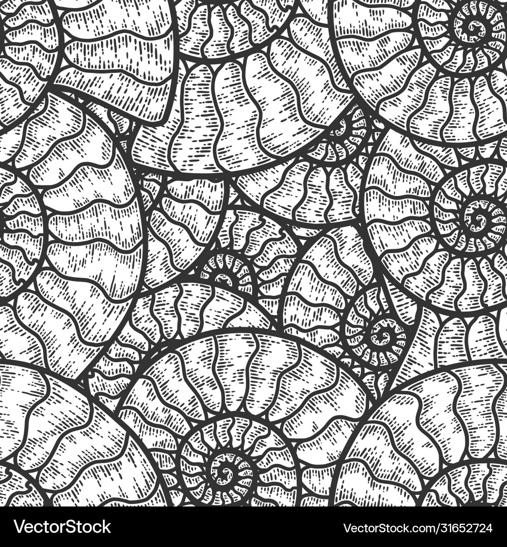Nautilus Shell Pattern - Scratch Board Vector Image