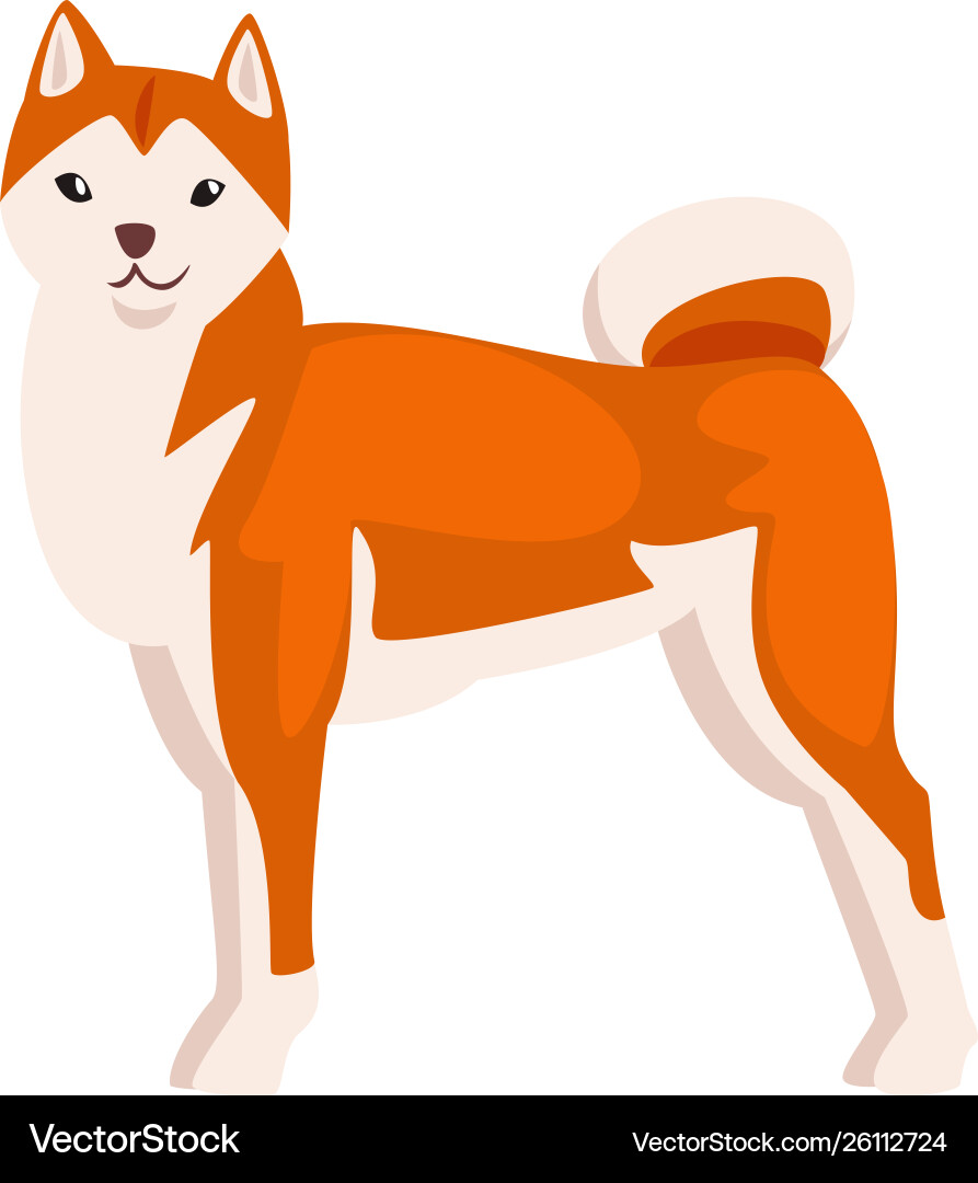 Shiba inu dog cute japan fluffy pet animal Shiba inu dog cute japan fluffy pet animal vector image