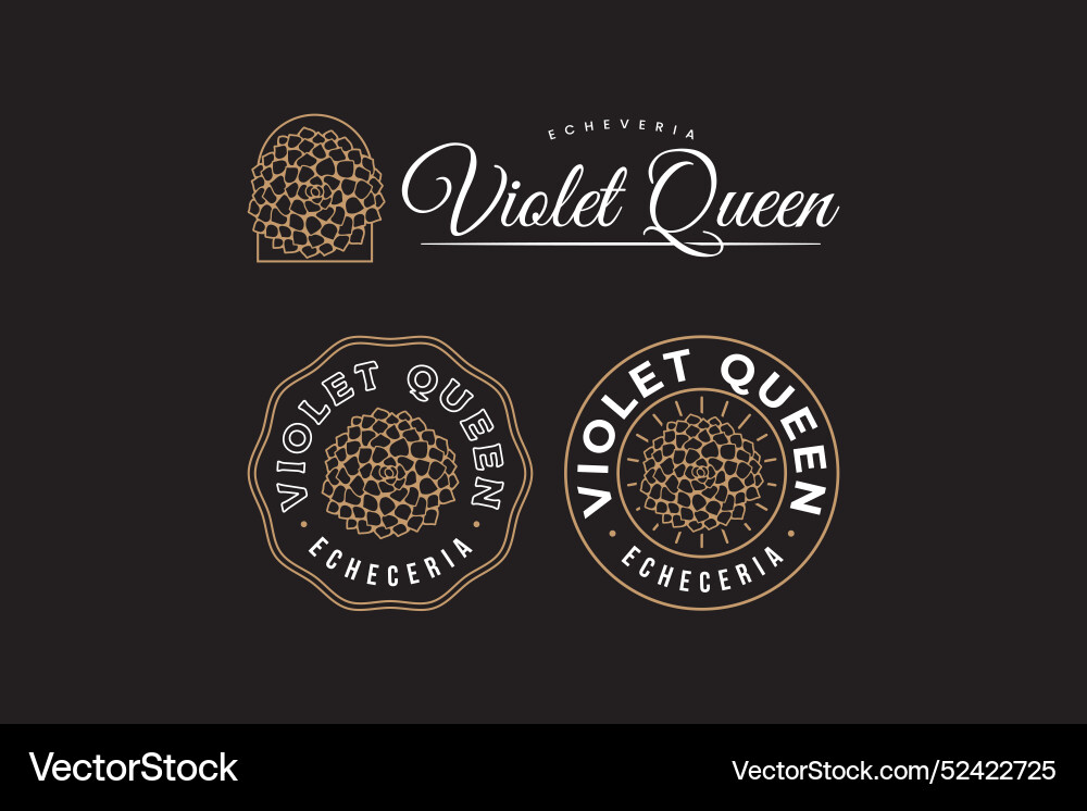 Succulent with violet queen echeveria linear logo Succulent with violet queen echeveria linear logo vector image