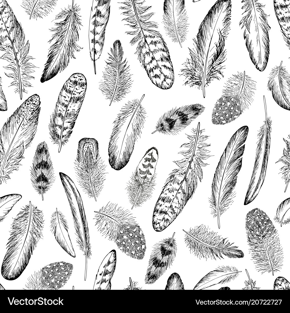 Feathers sketch seamless pattern Feathers sketch seamless pattern vector image
