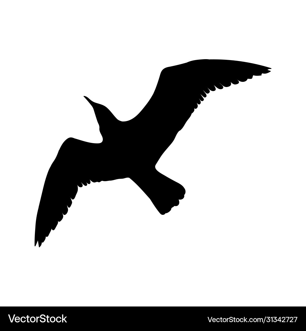 Fliegende Möwe Vogel schwarz Silhouette isoliert Fliegende Möwe Vogel schwarz Silhouette isoliert vektorbild