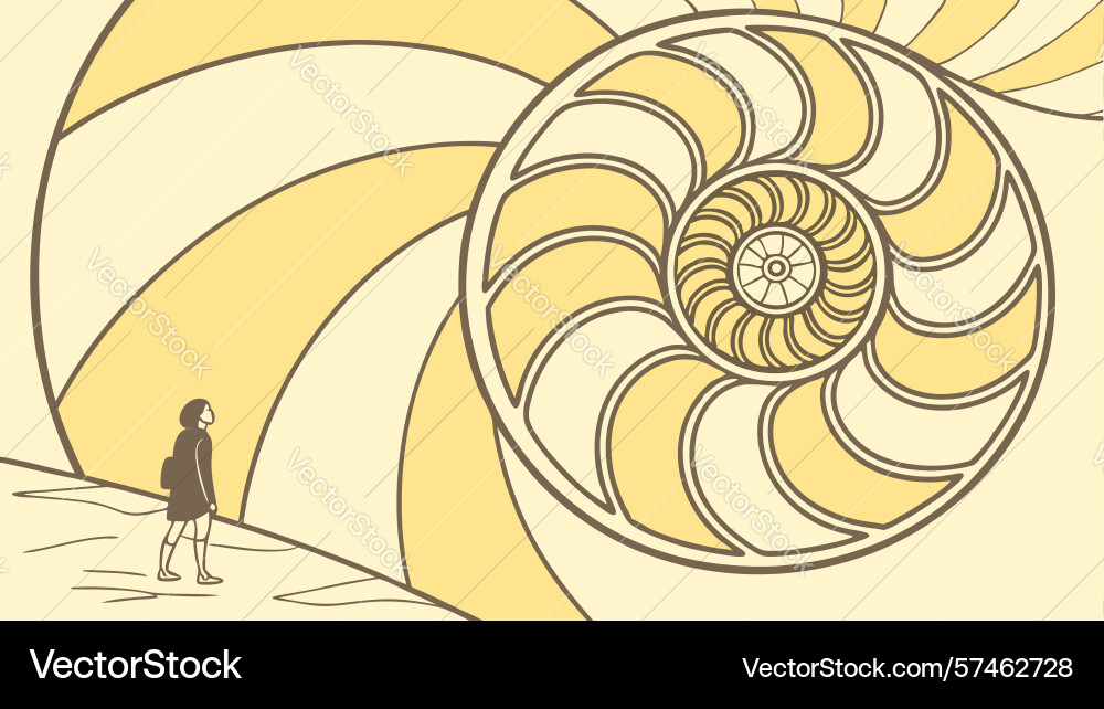 Abstract nautilus shell with geometric patterns vector image