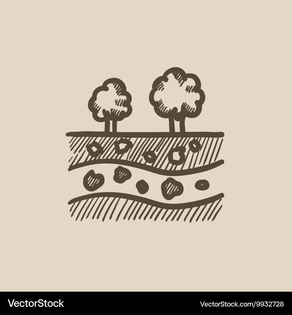Cut of soil with different layers sketch icon vector image