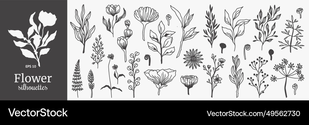 Blumenschmuck Hand gezogen Blumen Pflanzenblätter Blumenschmuck Hand gezogen Blumen Pflanzenblätter vektorbild