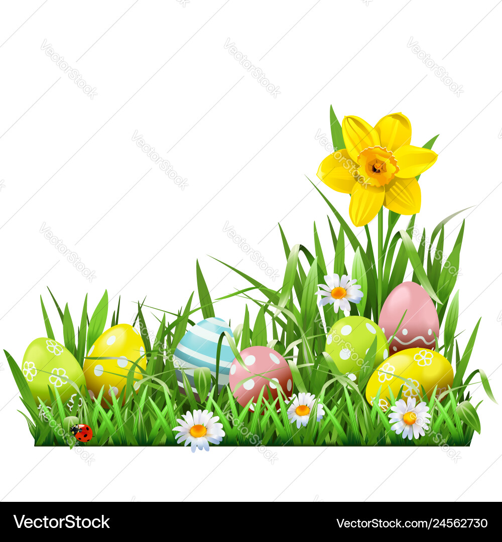 Easter concept with narcissus Easter concept with narcissus vector image