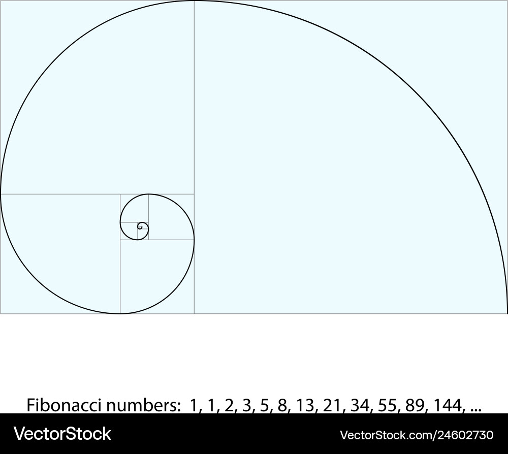 Golden ratio template fibonacci spiral Vector Image