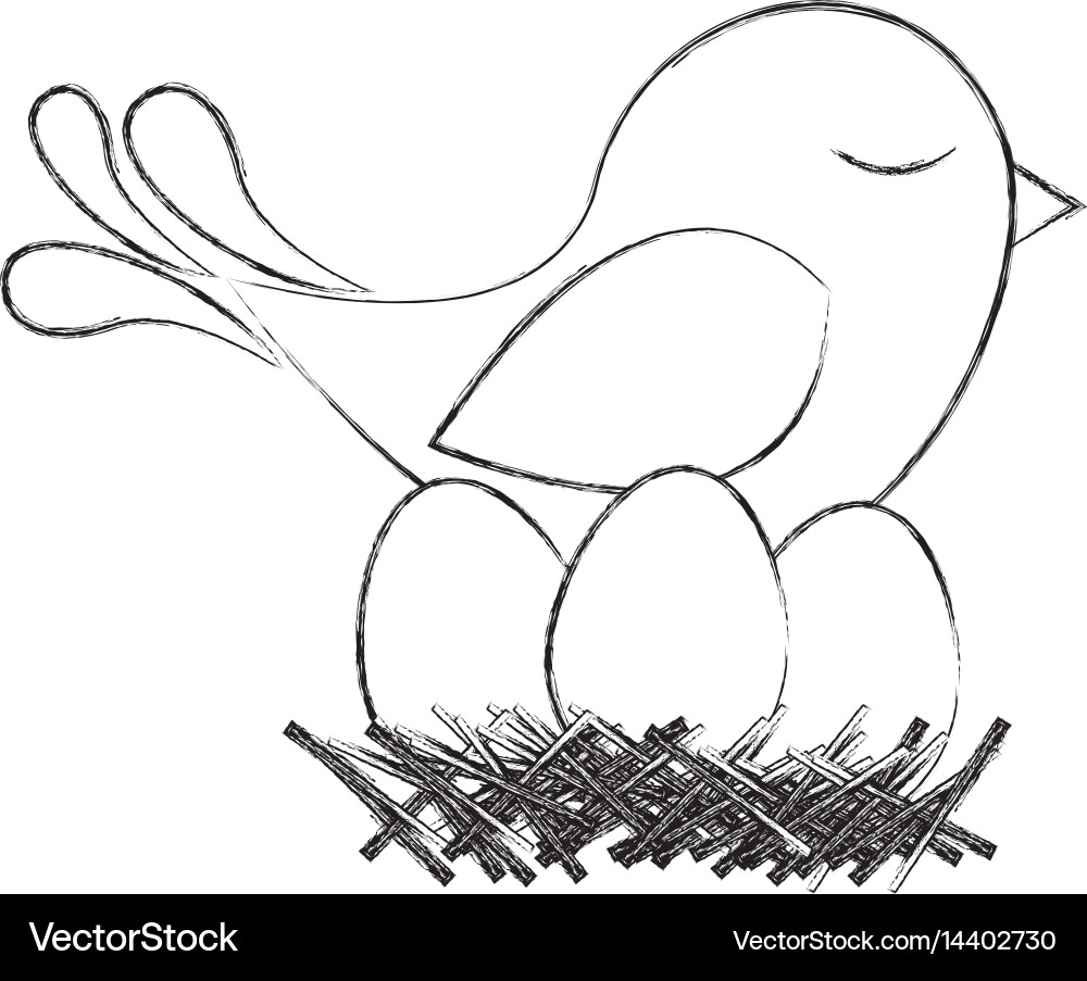 Monochrome sketch of bird in nest with eggs Vector Image