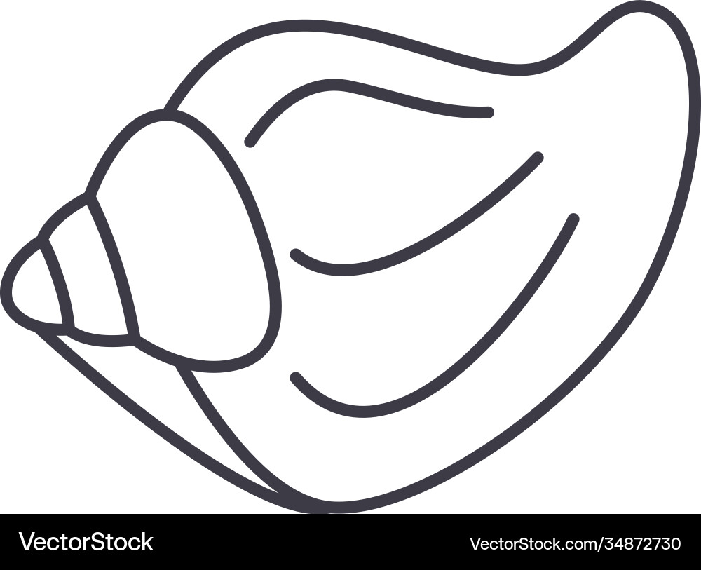 Shell icon linear isolated thin Shell icon linear isolated thin Vector Image