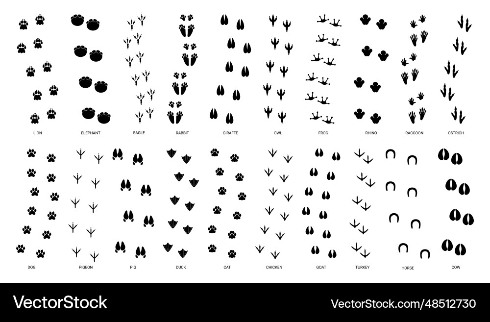 Tier Footprints & Tracks vektorbild