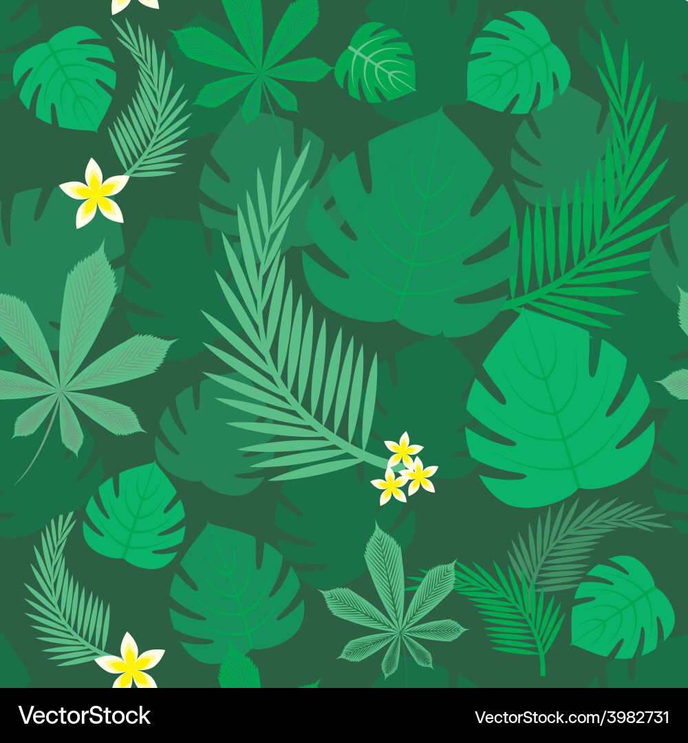 Forest background Royalty Free Vector Image - VectorStock