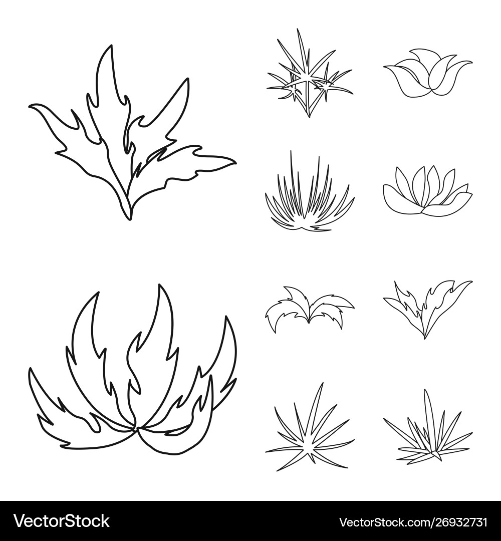 Isolated object hedge and shrub symbol set Vector Image