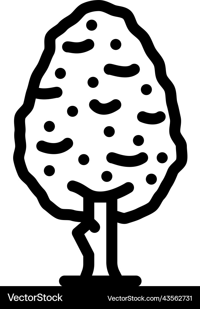 Pear tree line icon Vector Image