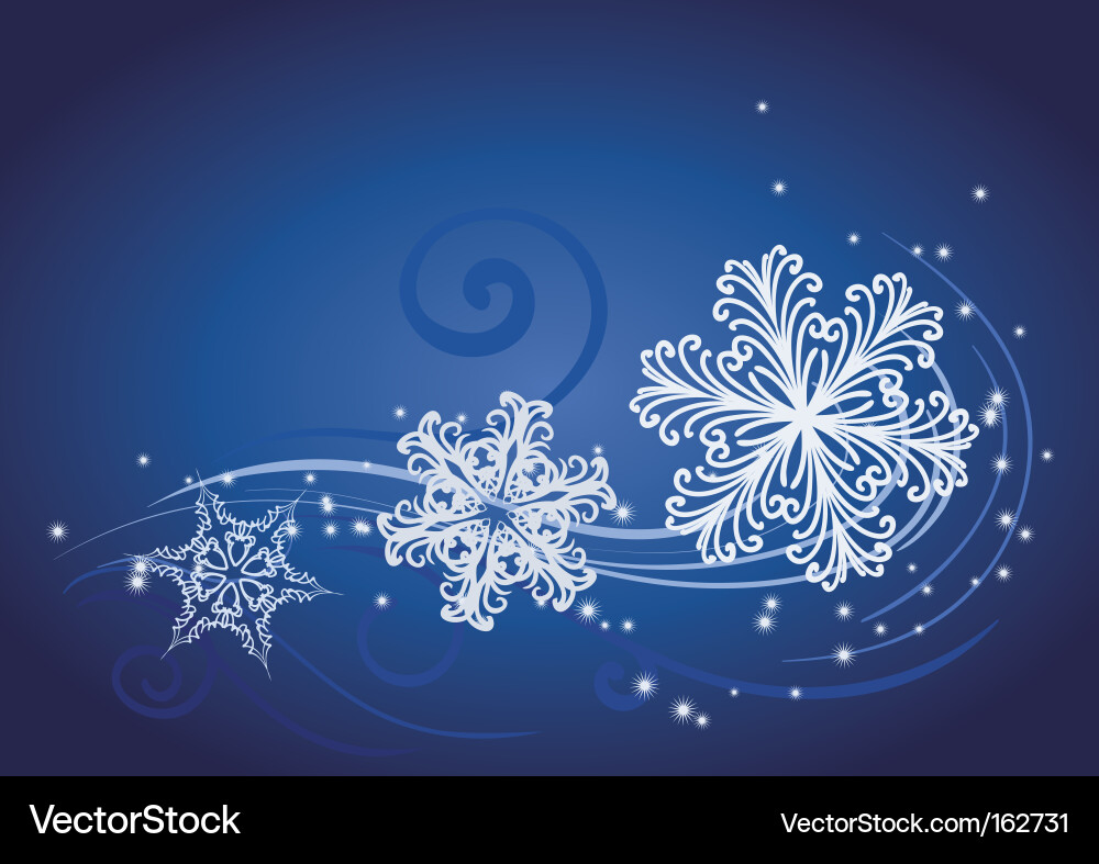 Winter Snowflake Pattern Vector Image