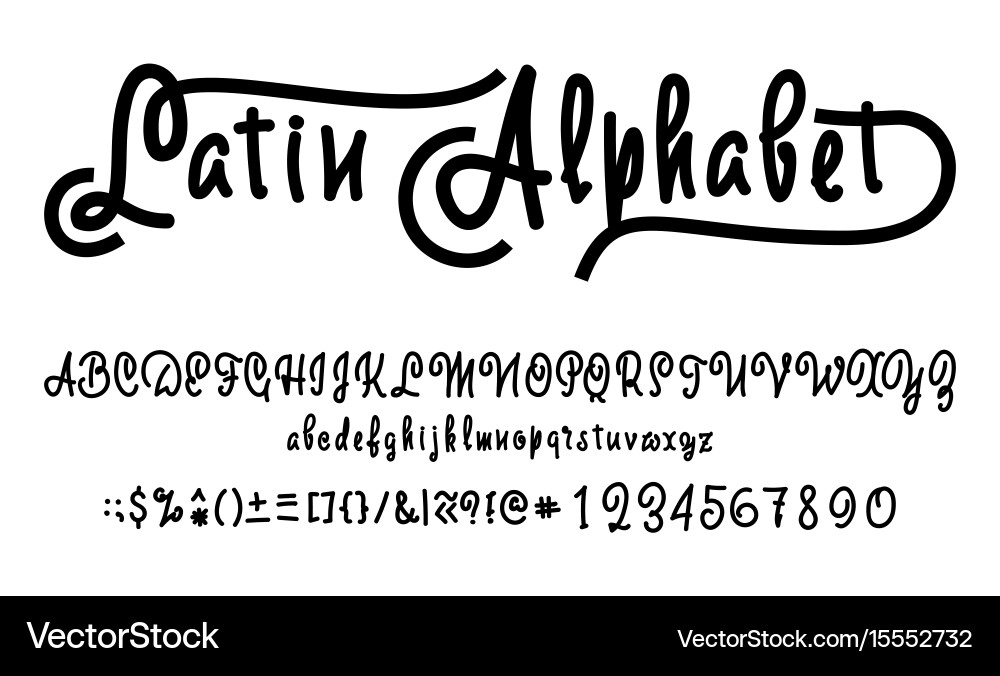 Alphabet calligraphic font unique custom vector image