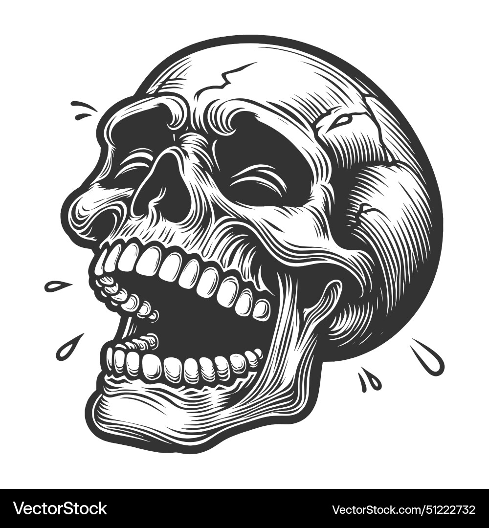 Laughing Skull Sketch vector image
