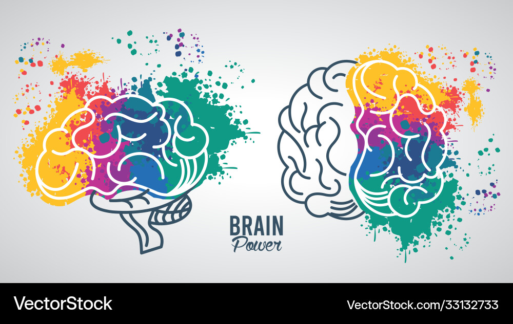 Brains power templates with colors splash vector image