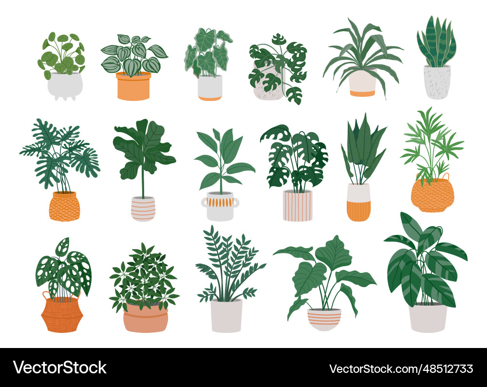 Home potted plants cartoon houseplants in pots Home potted plants cartoon houseplants in pots vector image