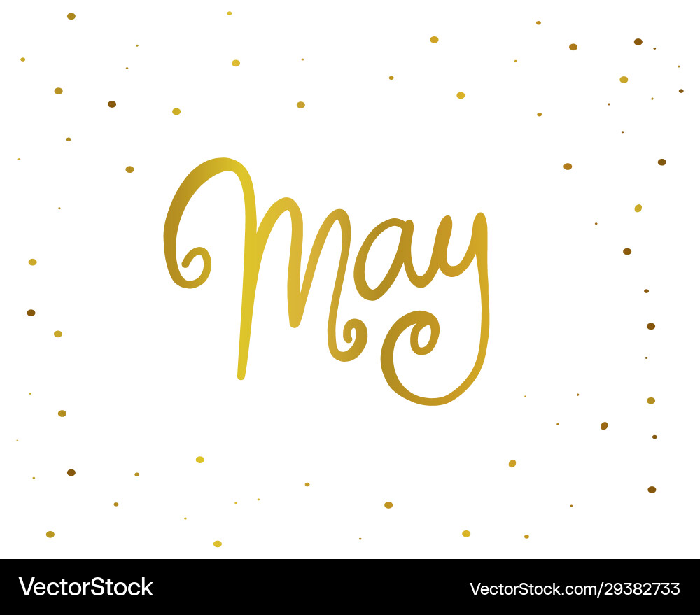 May handwriting lettering gold color May handwriting lettering gold color vector image