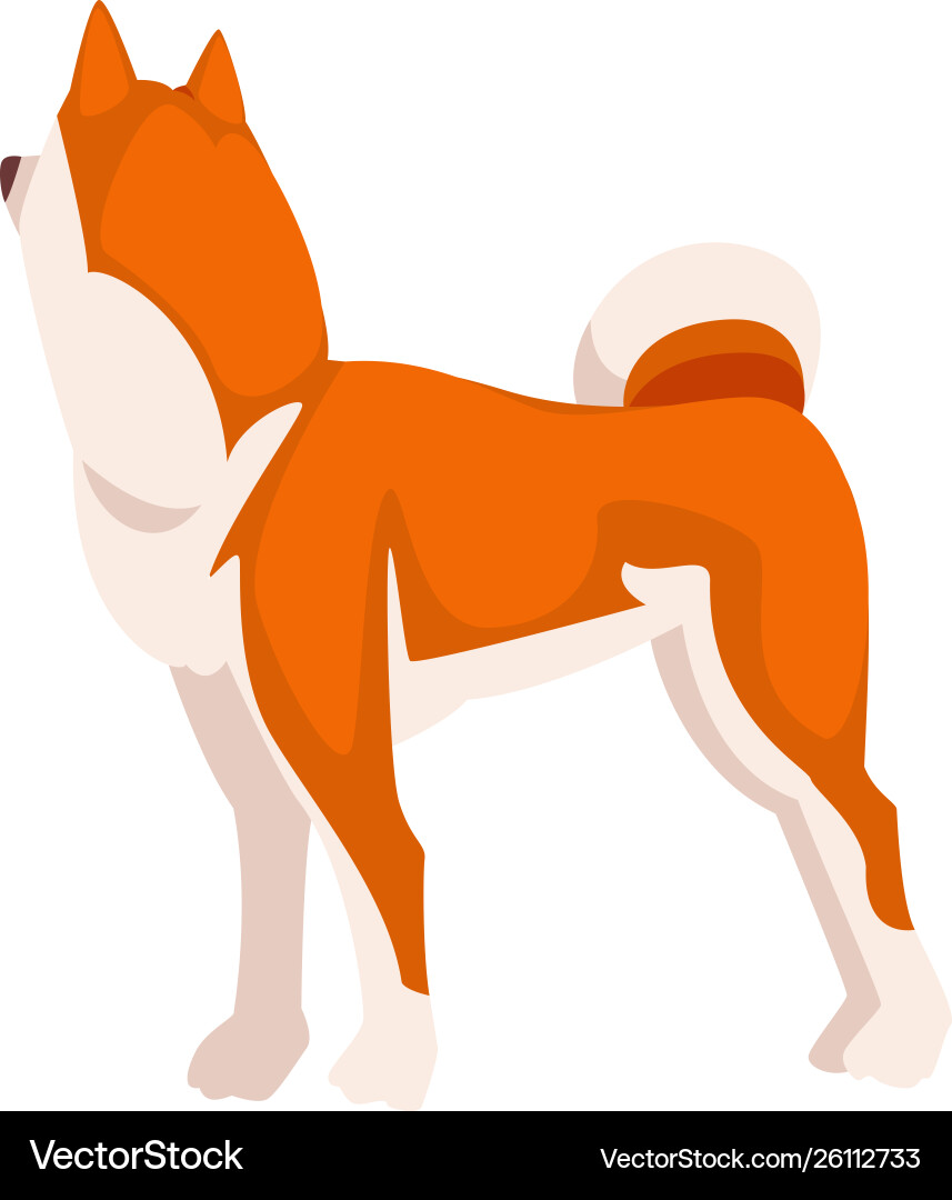 Shiba Inu Hund süß japan rot weiß flauschig haustier Shiba Inu Hund süß japan rot weiß flauschig haustier vektorbild