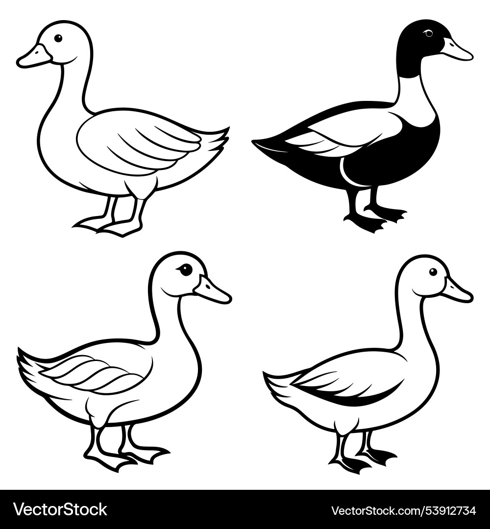 3d rendering of dynamic duck silhouette line art Vector Image