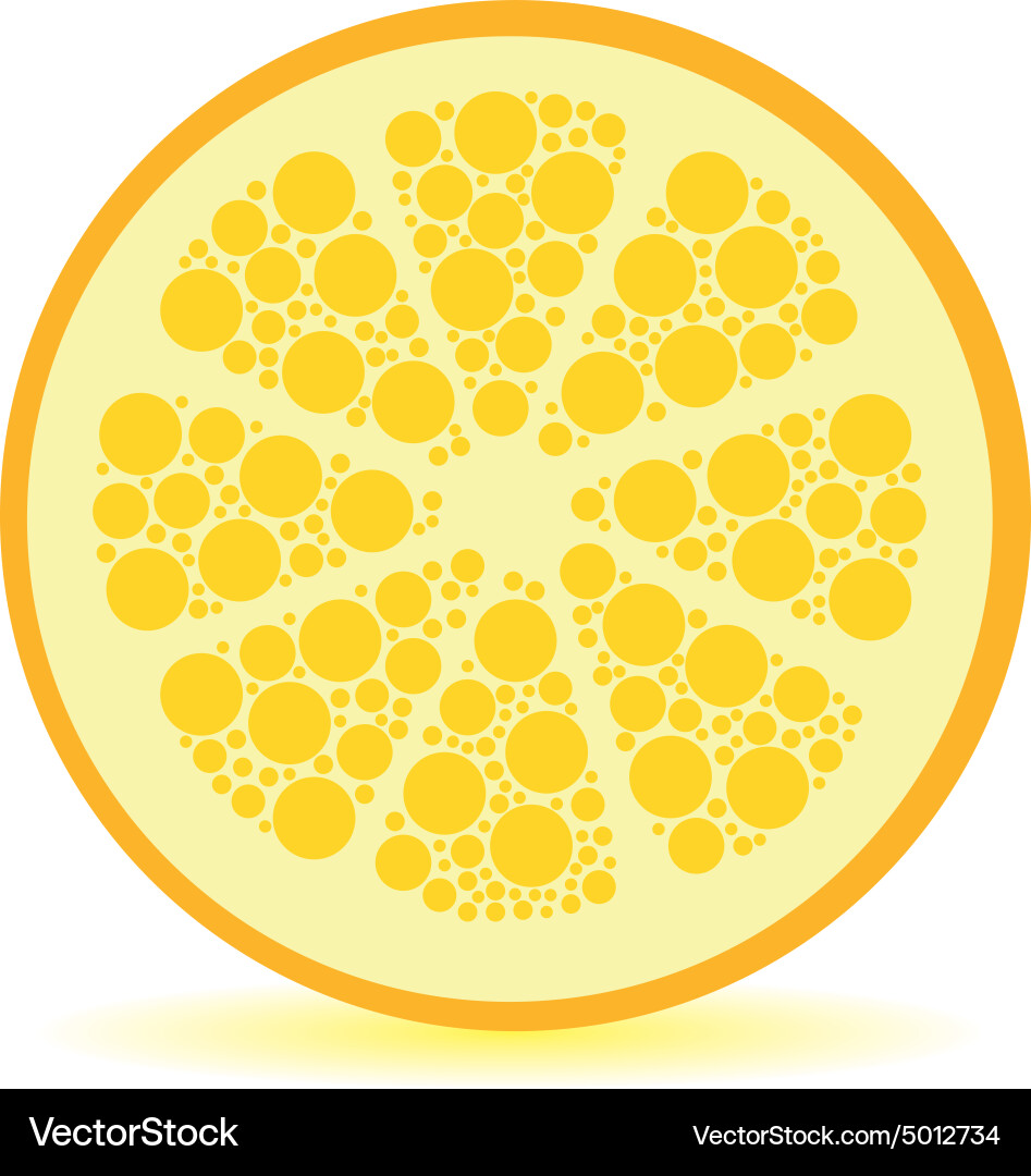 Lemon Slice with Dots Vector Image
