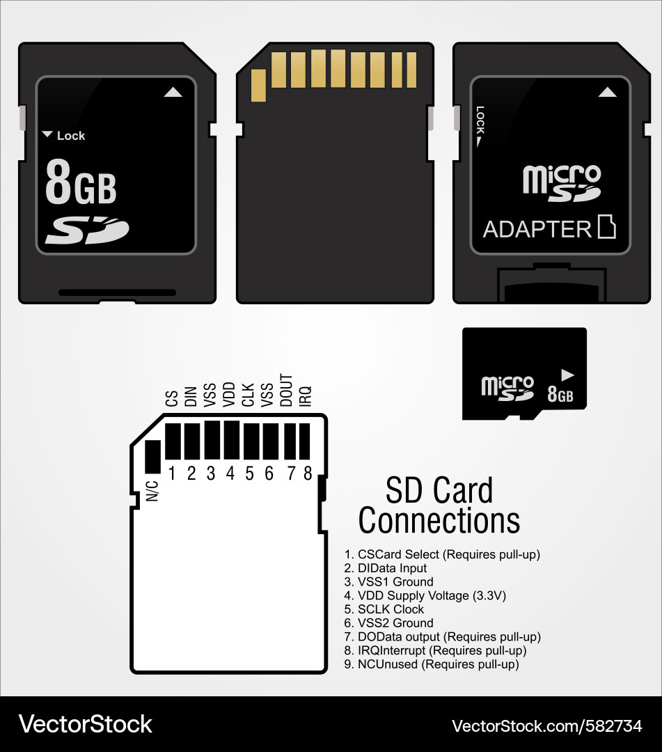 SD Memory Card - Compact Storage Vector Image
