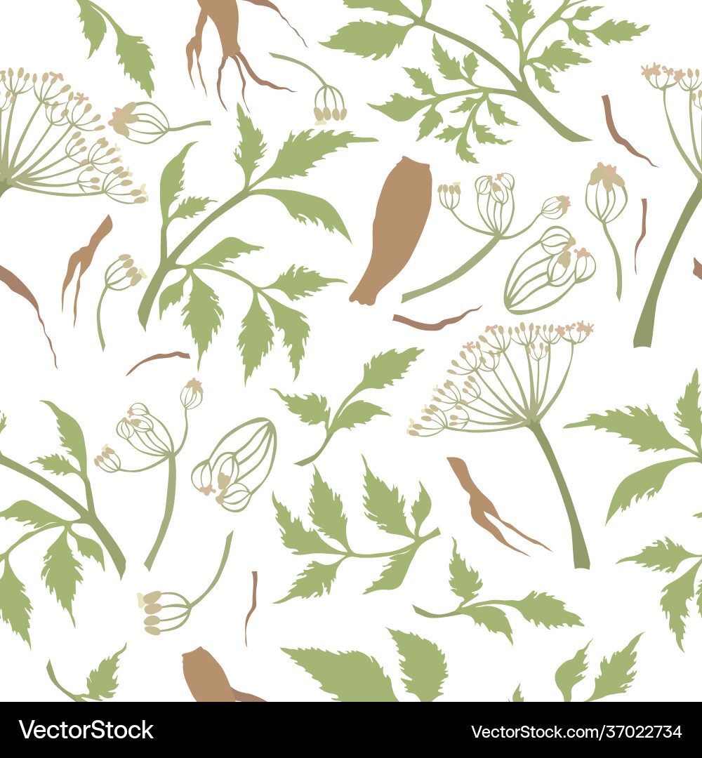 Seamless pattern with a dong quai parts Vector Image