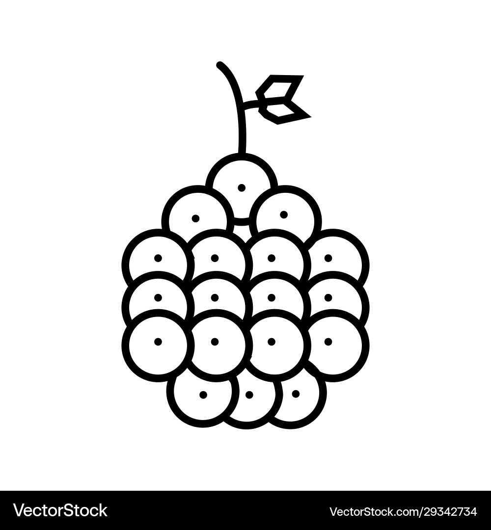 Unique raspberry line icon vector image