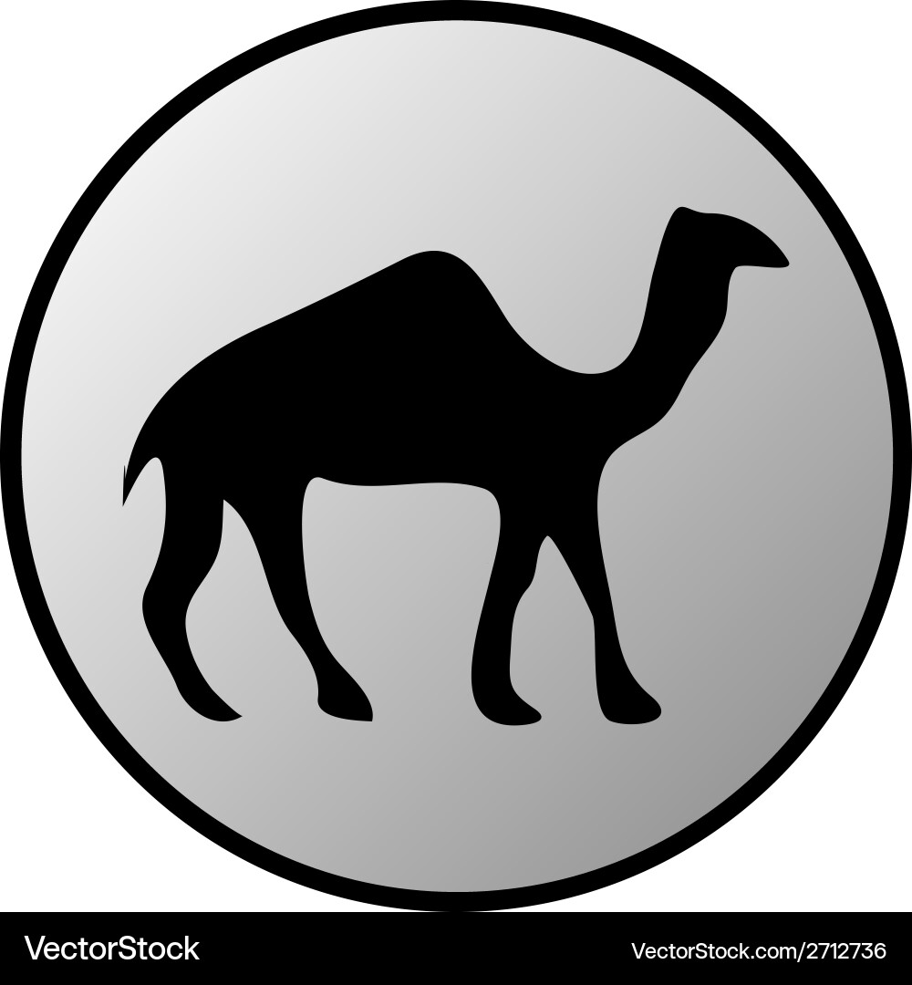 Camel button Vector Image