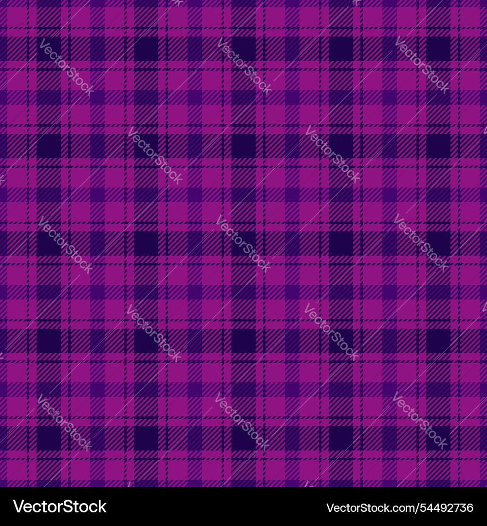 Rag fabric pattern texture menu plaid check Vector Image